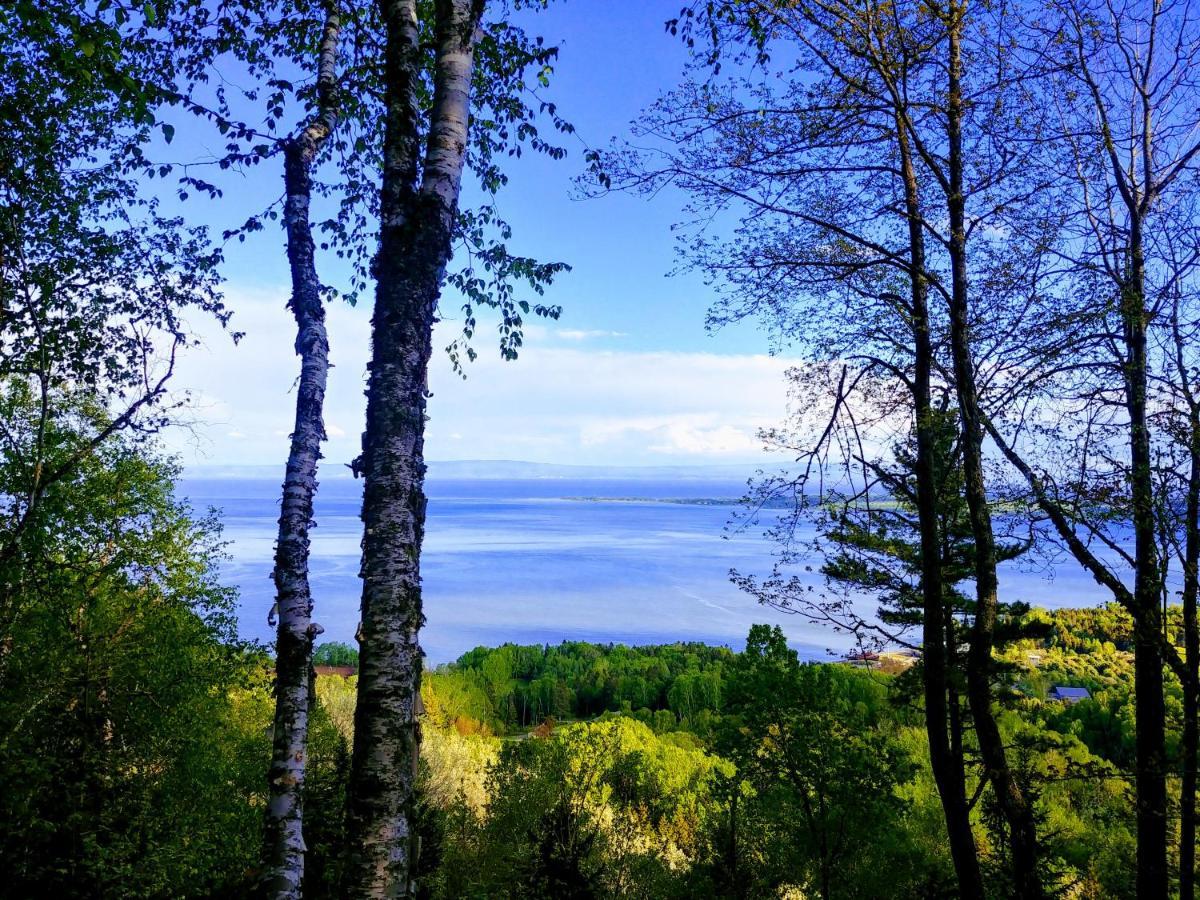 Auberge De La Rive De Charlevoix - Auberge De Jeunesse Familiale Pour Voyageurs De Tous Ages Saint-Joseph-de-la-Rive Εξωτερικό φωτογραφία